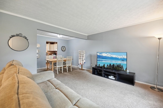 carpeted living area featuring baseboards, ornamental molding, and a textured ceiling
