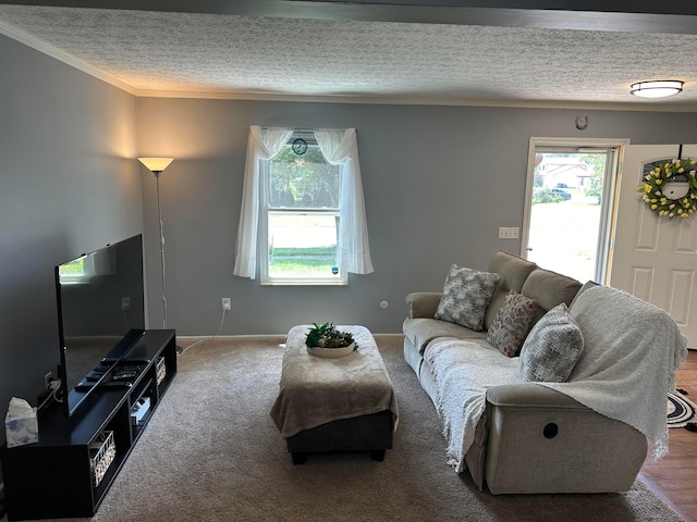 604 Forestwood Dr, Gahanna, OH 43230 - living room with a textured ceiling and crown molding
