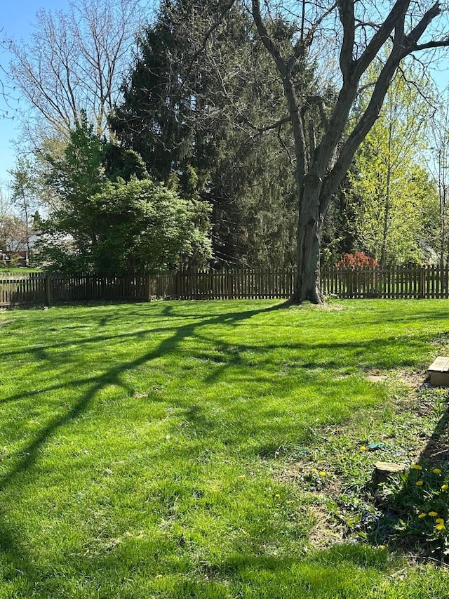 604 Forestwood Dr, Gahanna, OH 43230 - view of yard