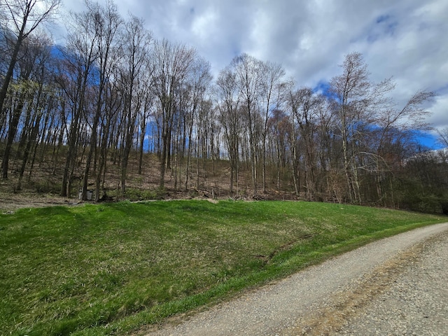 view of road