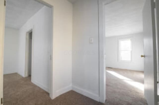 404 Sherman Ave, Springfield, OH 45503 - hallway with carpet flooring