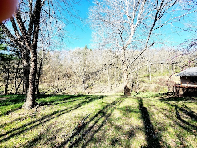 view of yard featuring a wooded view