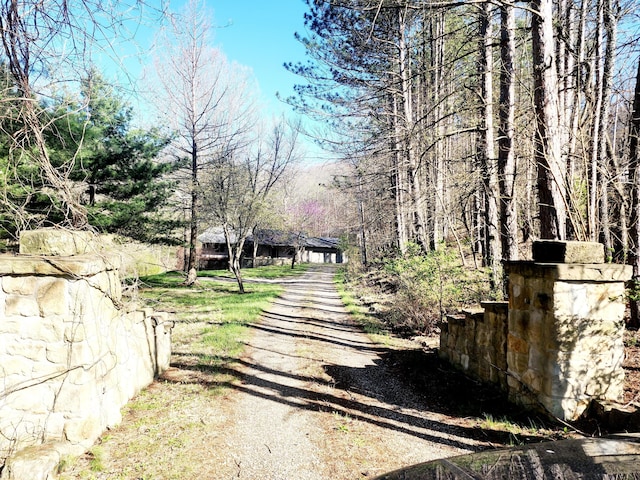 view of street with dirt driveway