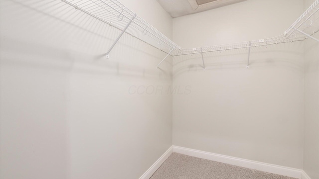 spacious closet with light carpet
