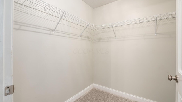 spacious closet with carpet floors