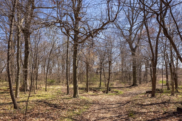 9704 Loudon St, Johnstown, OH 43031 - view of nature
