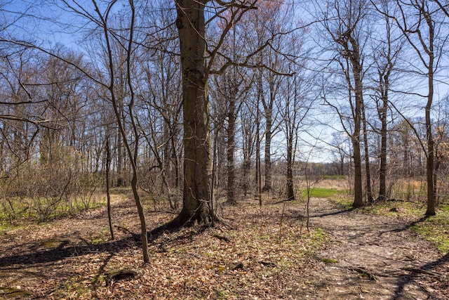 9704 Loudon St, Johnstown, OH 43031 - view of landscape featuring a forest view