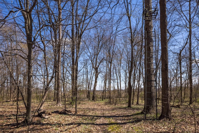 9704 Loudon St, Johnstown, OH 43031 - view of nature featuring a forest view