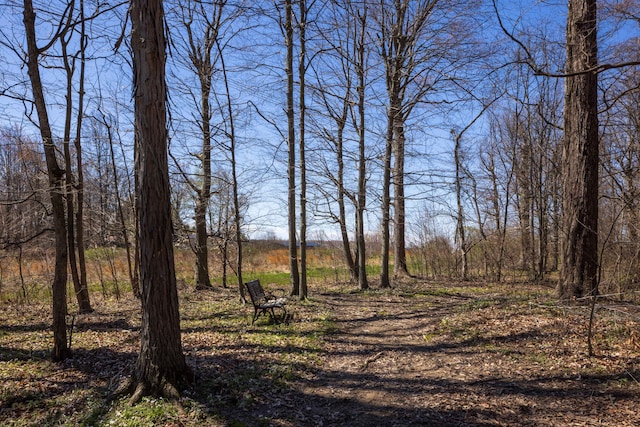 9704 Loudon St, Johnstown, OH 43031 - view of nature