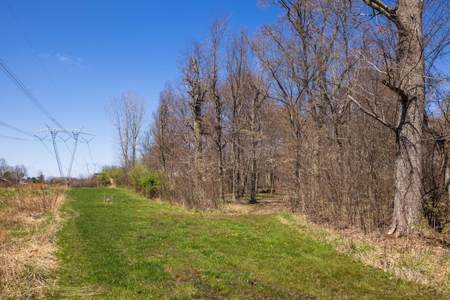 9704 Loudon St, Johnstown, OH 43031 - view of nature