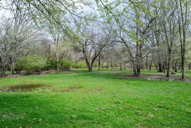 1005 Glenn Ave, Washington Court House, OH 43160 - view of grassy yard