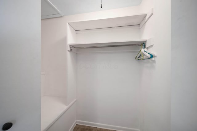 view of walk in closet