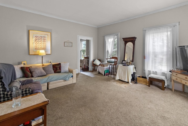 carpeted living room with ornamental molding
