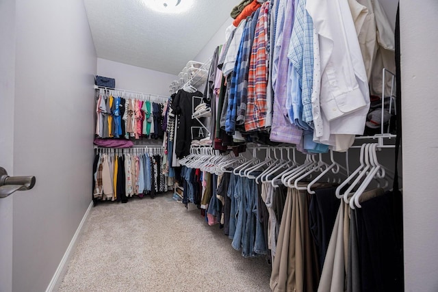 spacious closet featuring carpet