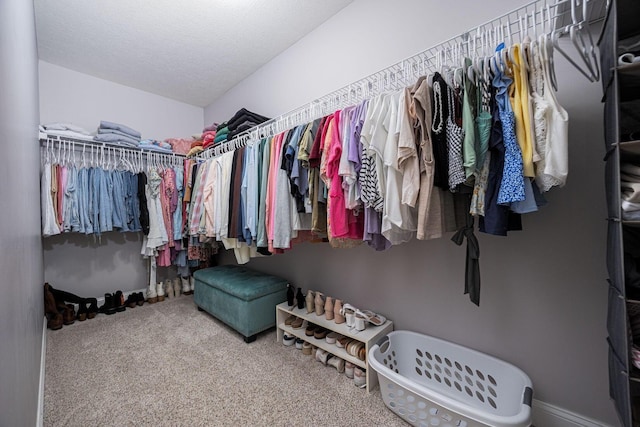 spacious closet featuring carpet floors
