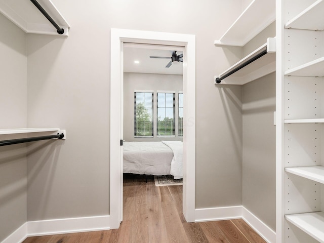 496 W 1st Ave, Columbus, OH 43201 - walk in closet with wood finished floors and ceiling fan