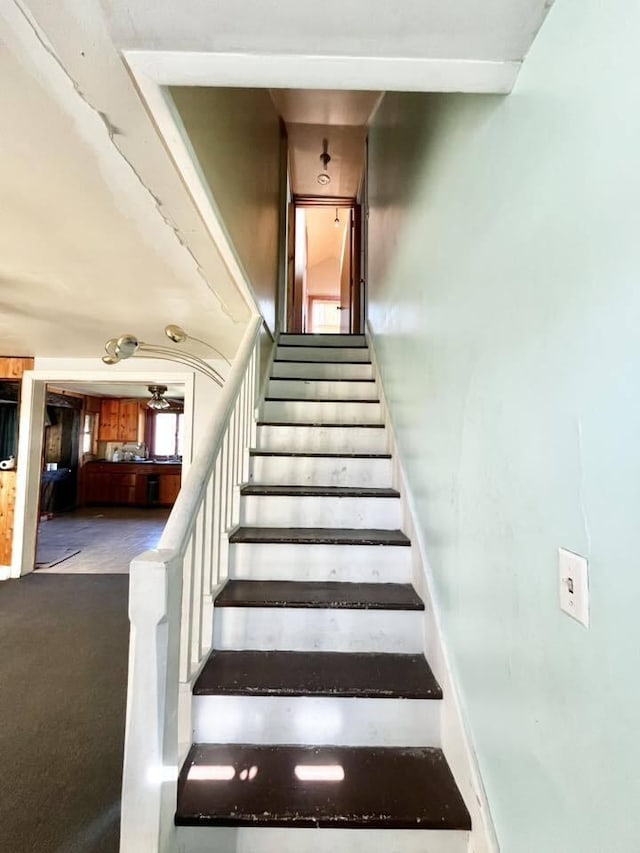 stairway with carpet floors