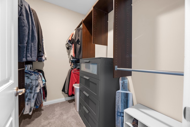 816 Kelburn Ln, Pickerington, OH 43147 - walk in closet with light carpet
