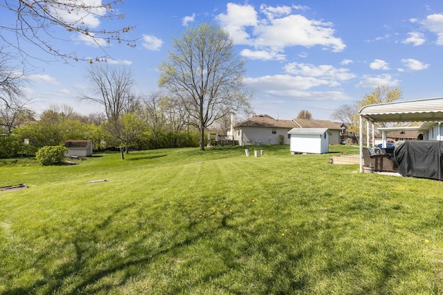 view of yard with an outdoor structure, a carport, and a storage shed