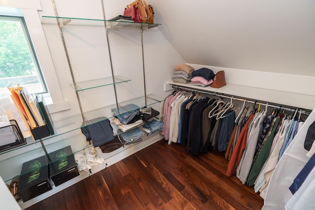129 Jackson St, Columbus, OH 43206 - walk in closet with wood finished floors and vaulted ceiling