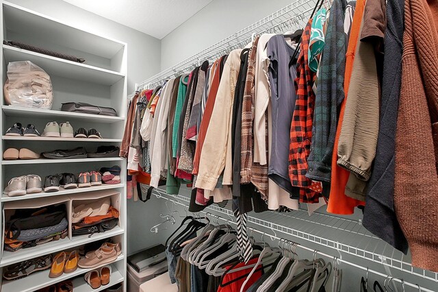 view of spacious closet