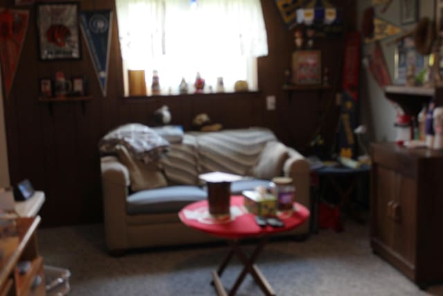 view of carpeted living area