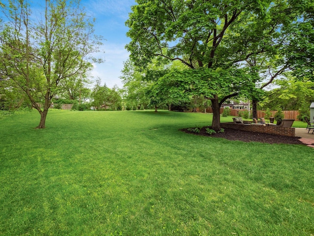 4159 Rowanne Rd, Columbus, OH 43214 - view of yard
