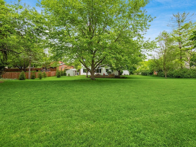 4159 Rowanne Rd, Columbus, OH 43214 - view of yard