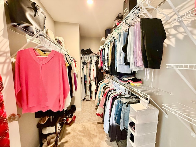 walk in closet featuring carpet