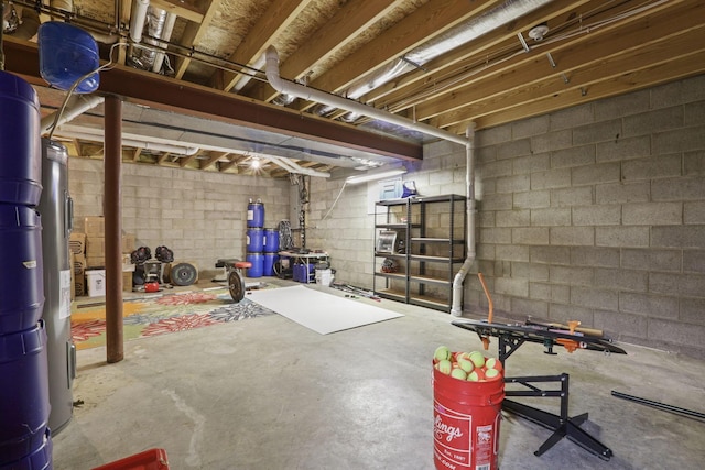 unfinished below grade area featuring concrete block wall