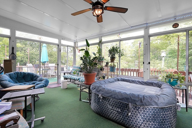 3161 Bowdoin Cir, Columbus, OH 43204 - sunroom / solarium with a ceiling fan and plenty of natural light