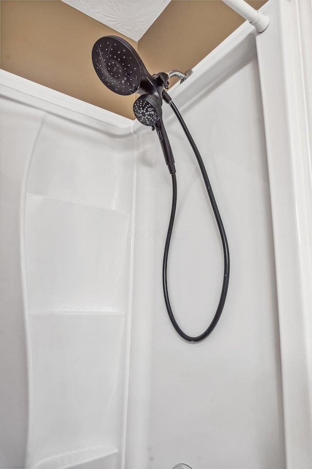 interior details with walk in shower