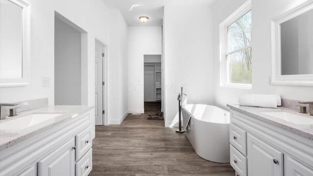 bathroom featuring a soaking tub, a wealth of natural light, and a sink