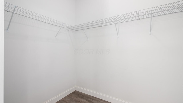 spacious closet with dark wood-style flooring