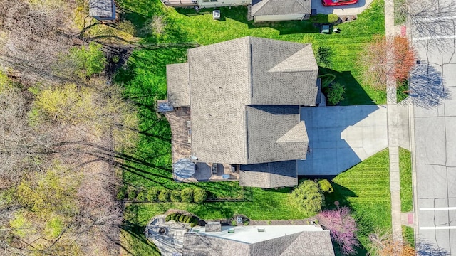 bird's eye view