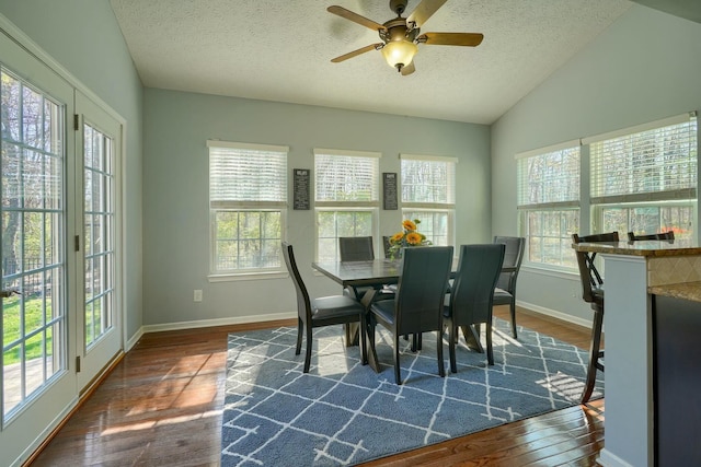 dining area featuring dark wood-type flooring, a textured ceiling, a healthy amount of sunlight, and baseboards