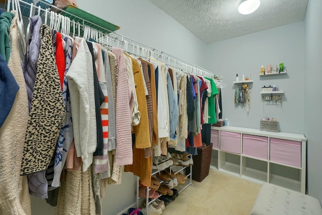 walk in closet with carpet flooring