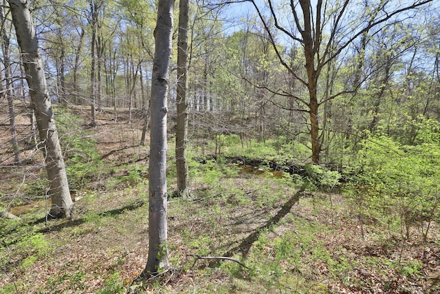 view of landscape featuring a view of trees