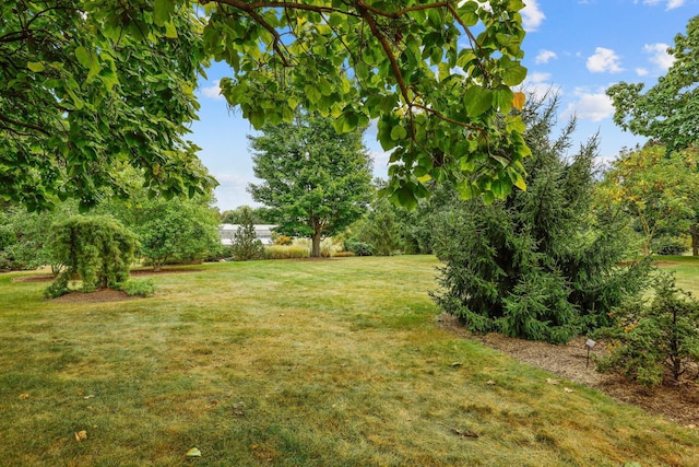 1719 Oak St, Columbus, OH 43205 - view of yard