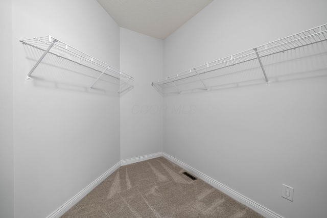 spacious closet with carpet floors and visible vents