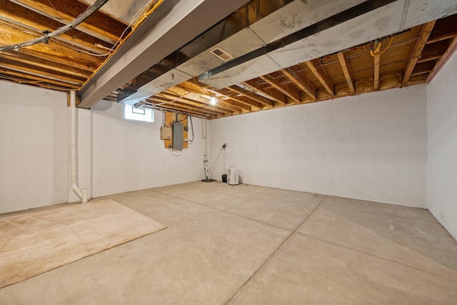 basement featuring electric panel