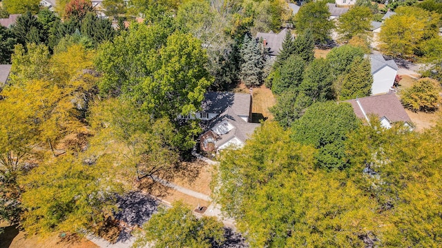 aerial view