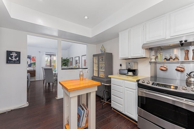 91 Glen Dr, Worthington, OH 43085 - kitchen featuring dark wood finished floors, under cabinet range hood, a raised ceiling, stainless steel electric stove, and white cabinetry