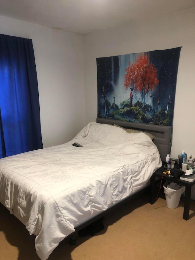bedroom with carpet floors