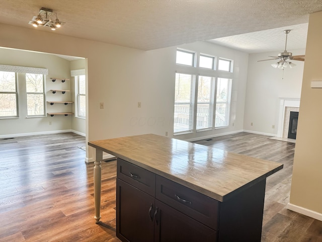 kitchen featuring dark wood-style floors, ceiling fan, open floor plan, and plenty of natural light