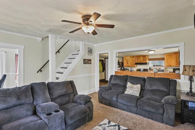carpeted living room with stairway, ceiling fan, and ornamental molding