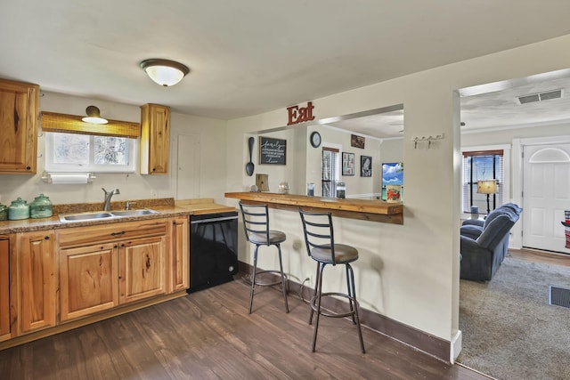 kitchen with plenty of natural light, dishwasher, dark wood-style flooring, and a sink