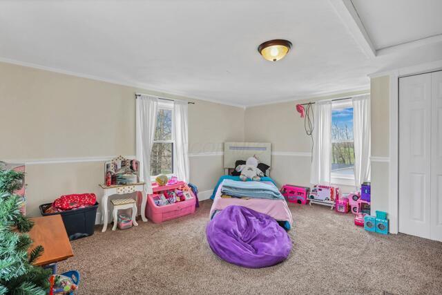 playroom featuring carpet floors