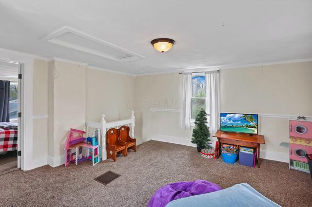 recreation room featuring attic access, carpet flooring, and ornamental molding