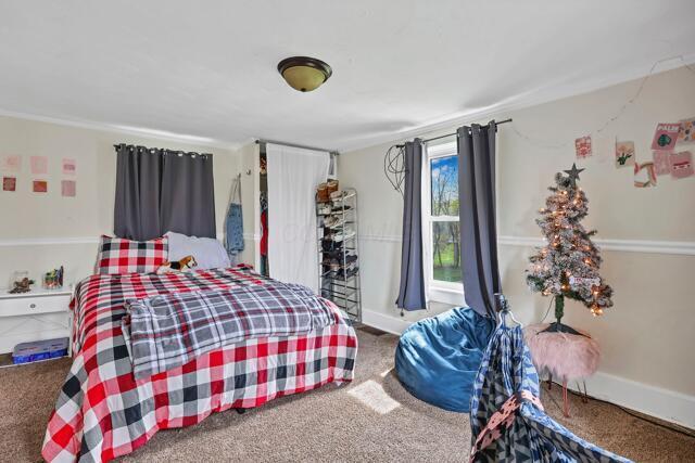 bedroom featuring carpet
